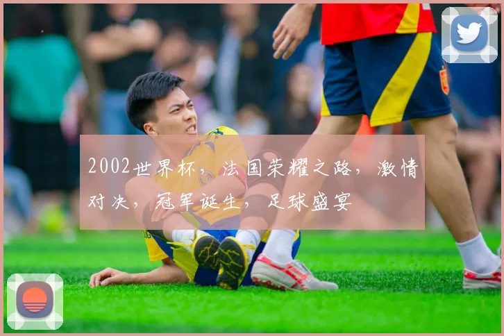 2002世界杯，法国荣耀之路，激情对决，冠军诞生，足球盛宴