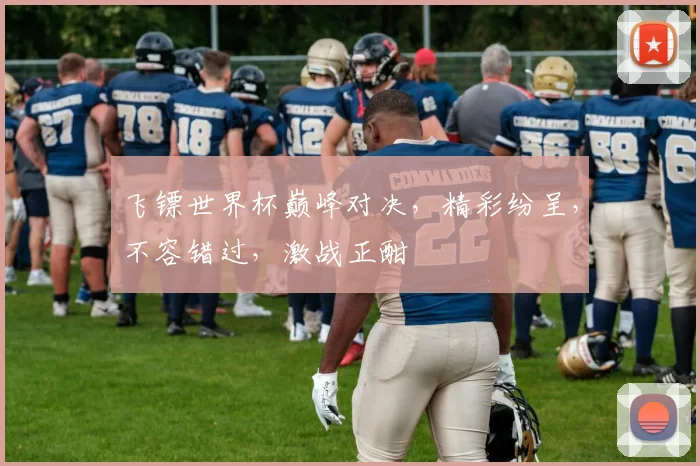 飞镖世界杯巅峰对决，精彩纷呈，不容错过，激战正酣