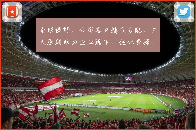 全球视野，公海客户精准分配，三大原则助力企业腾飞，优化资源，共创辉煌，共赢未来。
