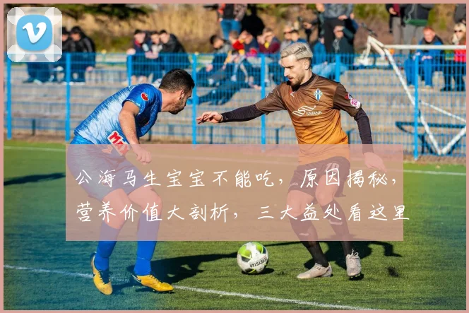 公海马生宝宝不能吃，原因揭秘，营养价值大剖析，三大益处看这里，别错过