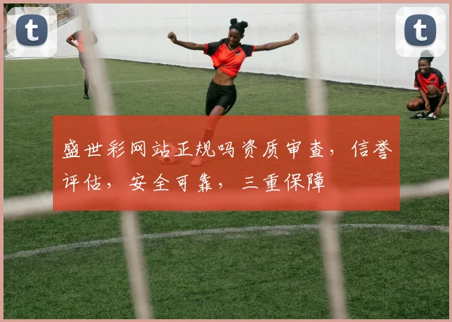 盛世彩网站正规吗资质审查，信誉评估，安全可靠，三重保障